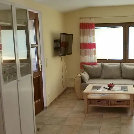 To The Horse Paddock * Zislow