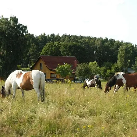 Holiday home To The Horse Paddock *